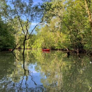 Sungei Khatib Bongsu (Lower)